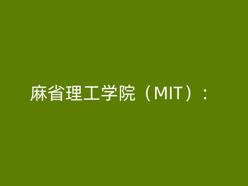 麻省理工学院（MIT）：