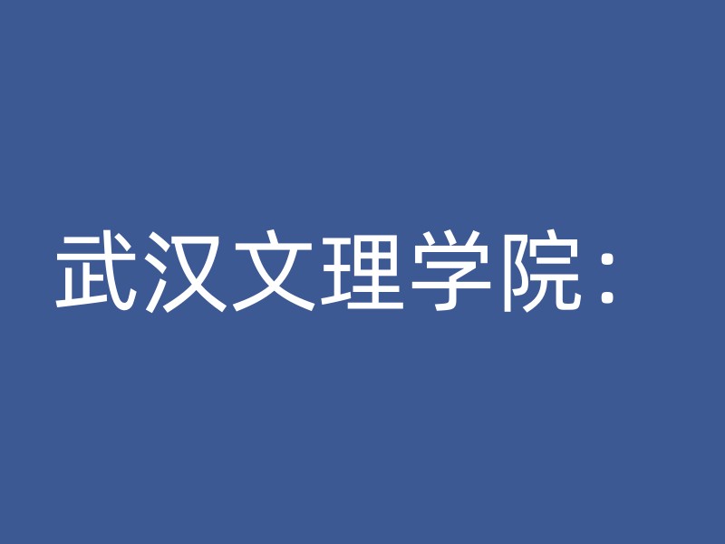 武汉文理学院：