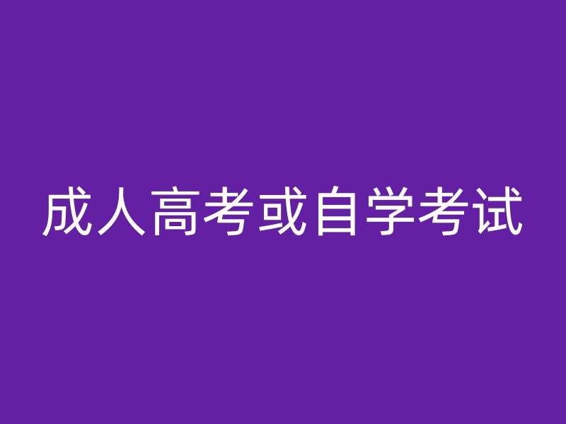 成人高考或自学考试