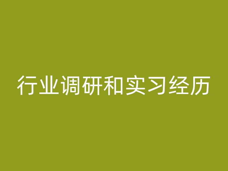 行业调研和实习经历