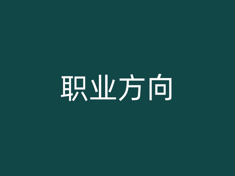 职业方向