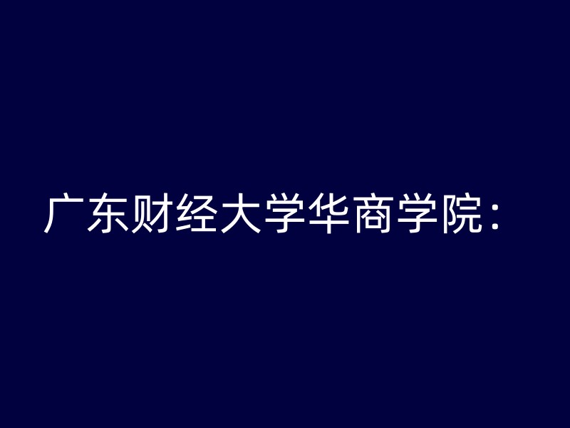 广东财经大学华商学院：