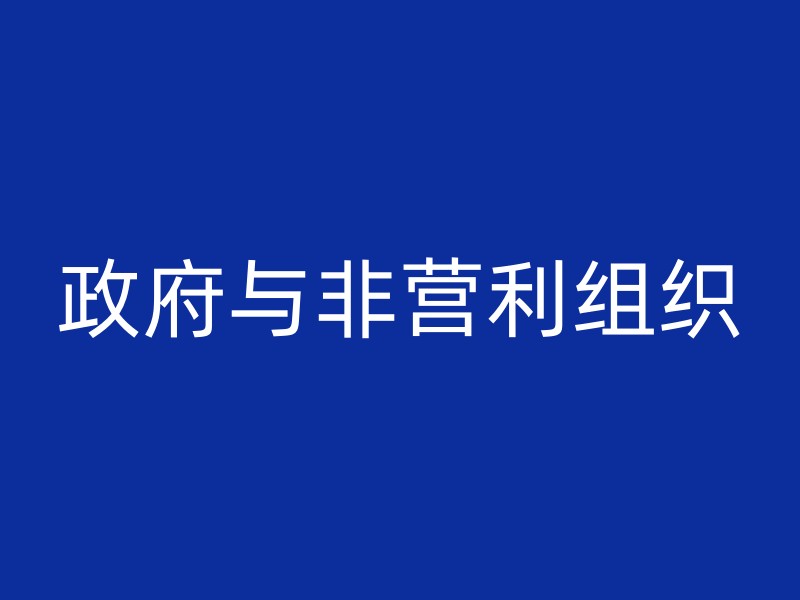 政府与非营利组织