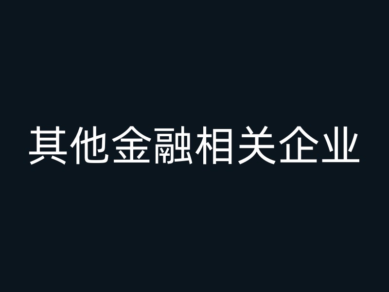 其他金融相关企业