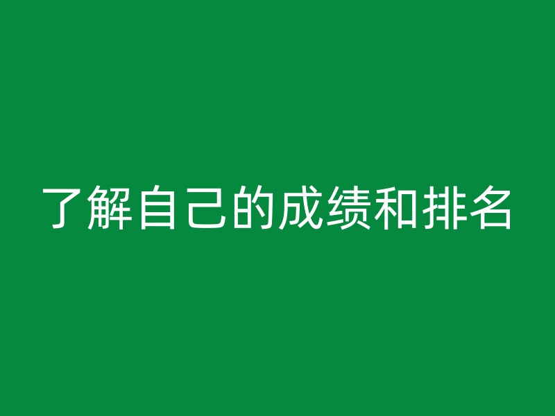 了解自己的成绩和排名