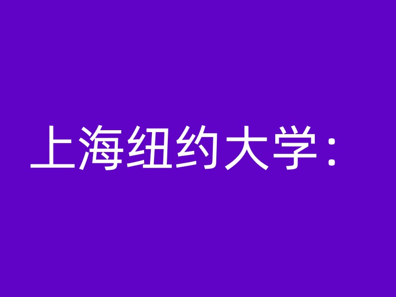 上海纽约大学：