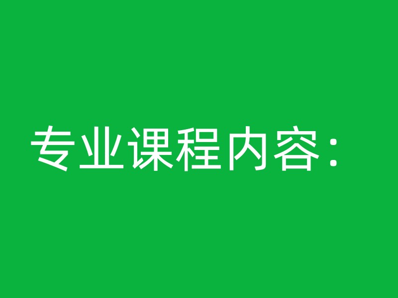 专业课程内容：