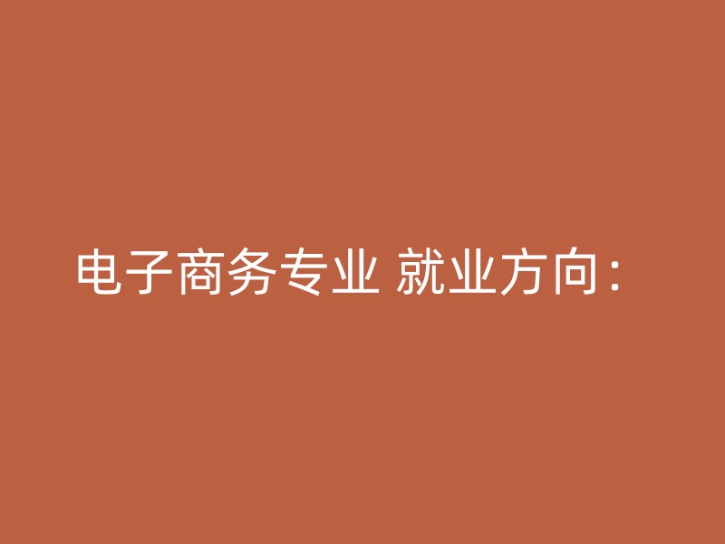 电子商务专业 就业方向：