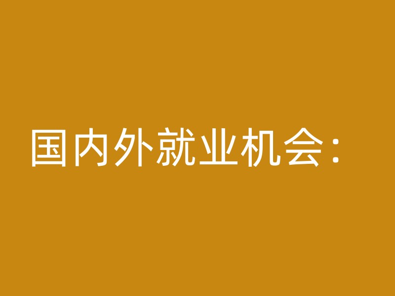 国内外就业机会：