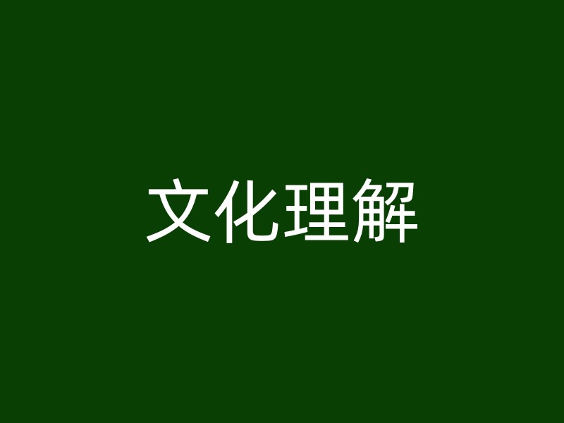 文化理解