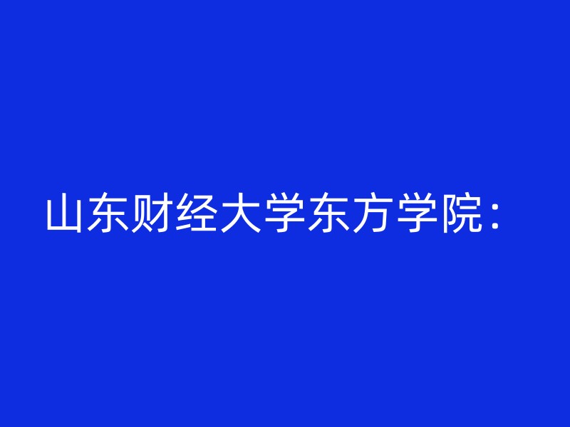 山东财经大学东方学院：