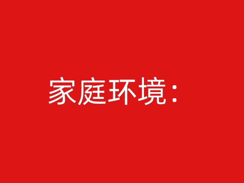 家庭环境：