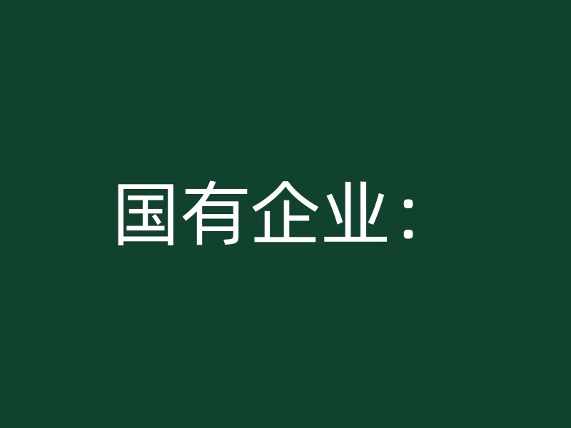 国有企业：