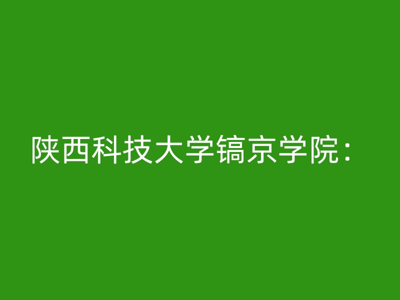 陕西科技大学镐京学院：