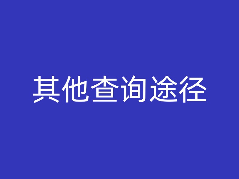 其他查询途径