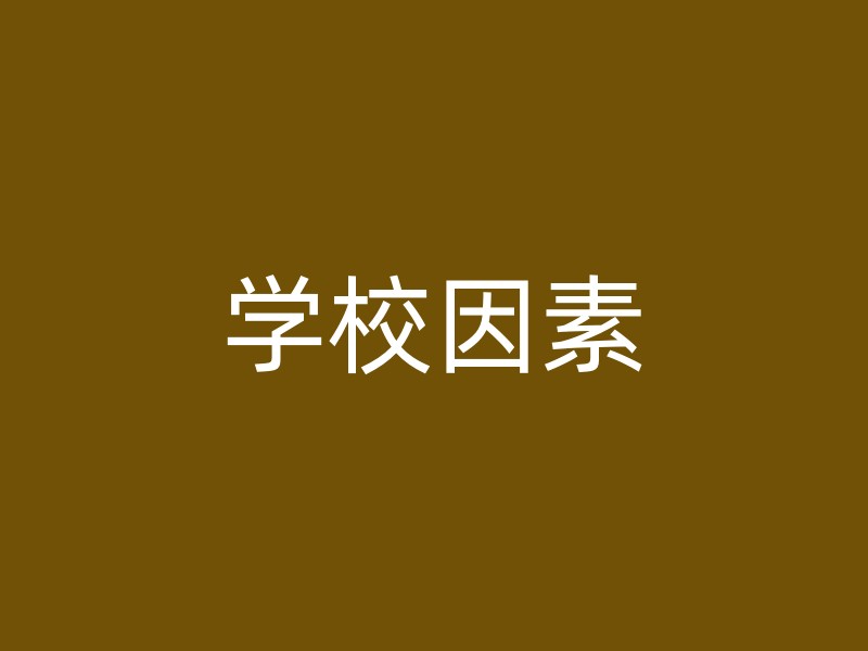 学校因素