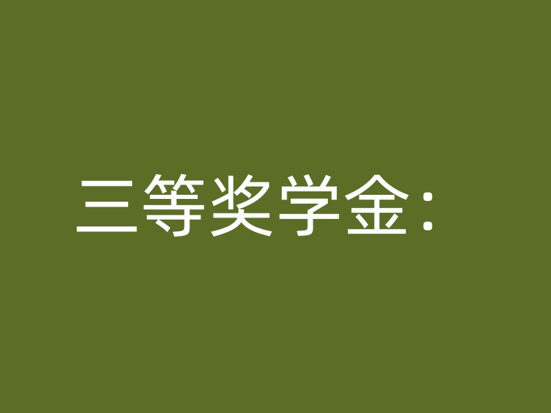 三等奖学金：