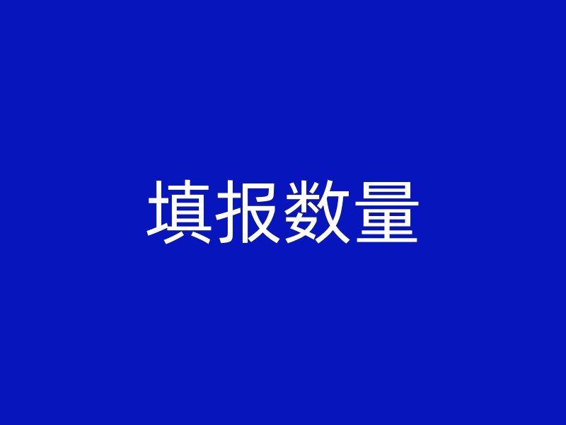 填报数量