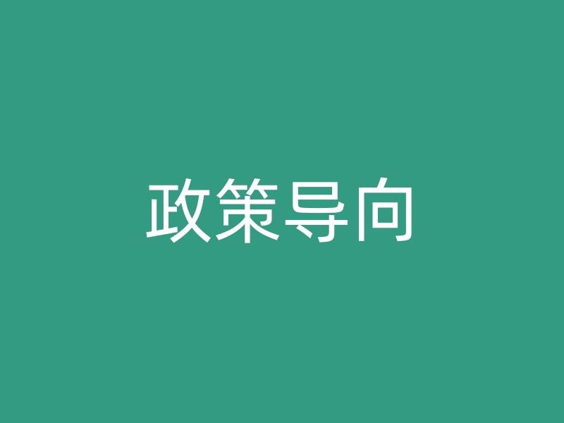 政策导向