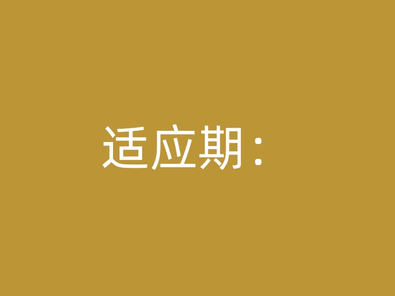 适应期：