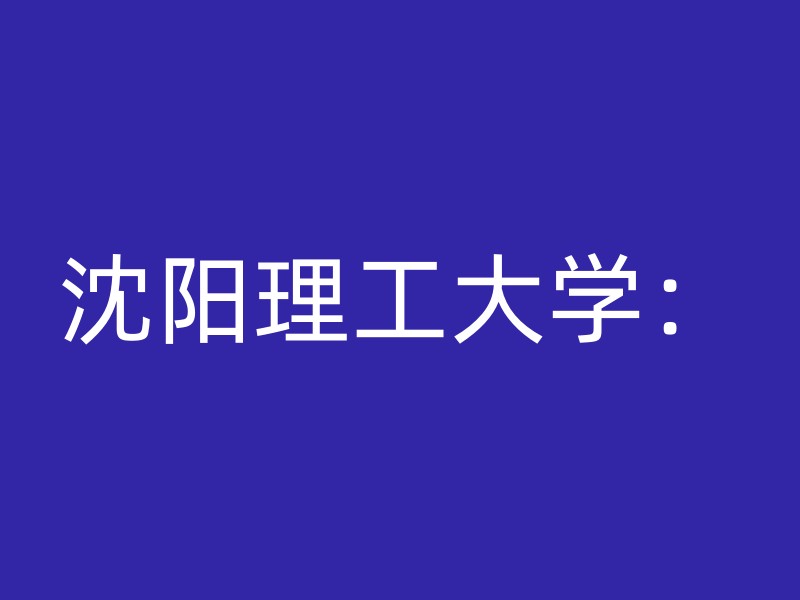 沈阳理工大学：