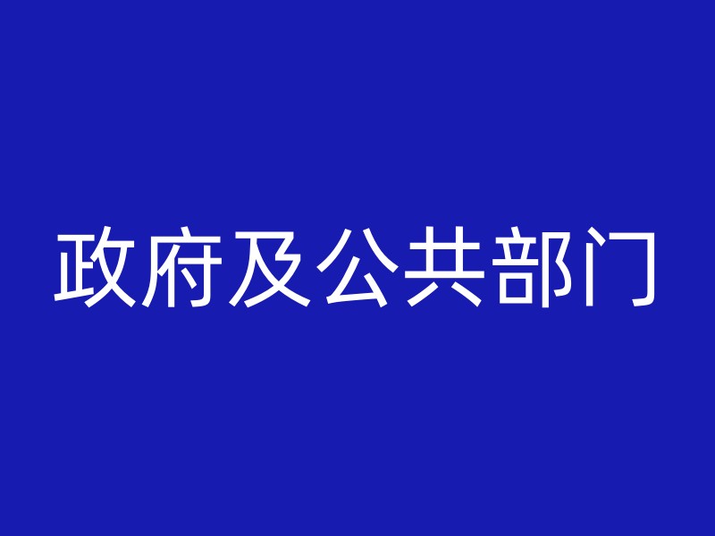 政府及公共部门