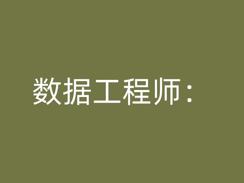 数据工程师：