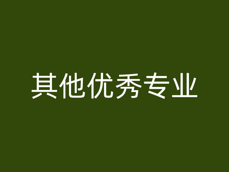 其他优秀专业