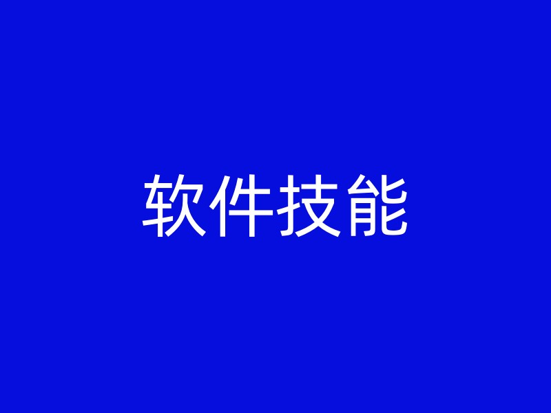 软件技能