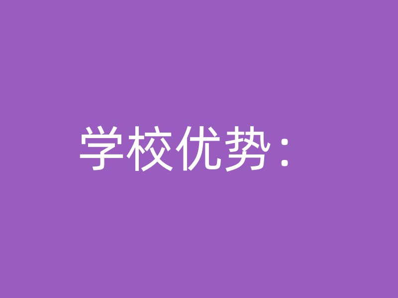 学校优势：