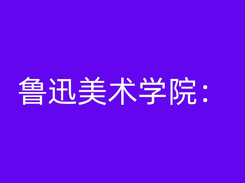 鲁迅美术学院：