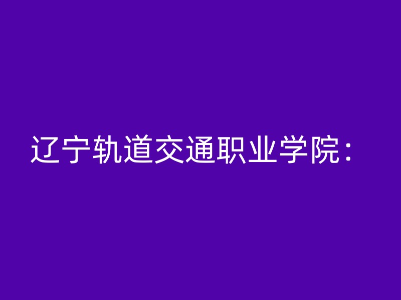 辽宁轨道交通职业学院：