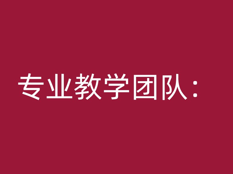 专业教学团队：