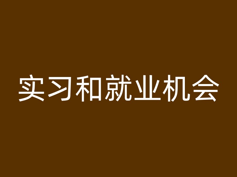 实习和就业机会