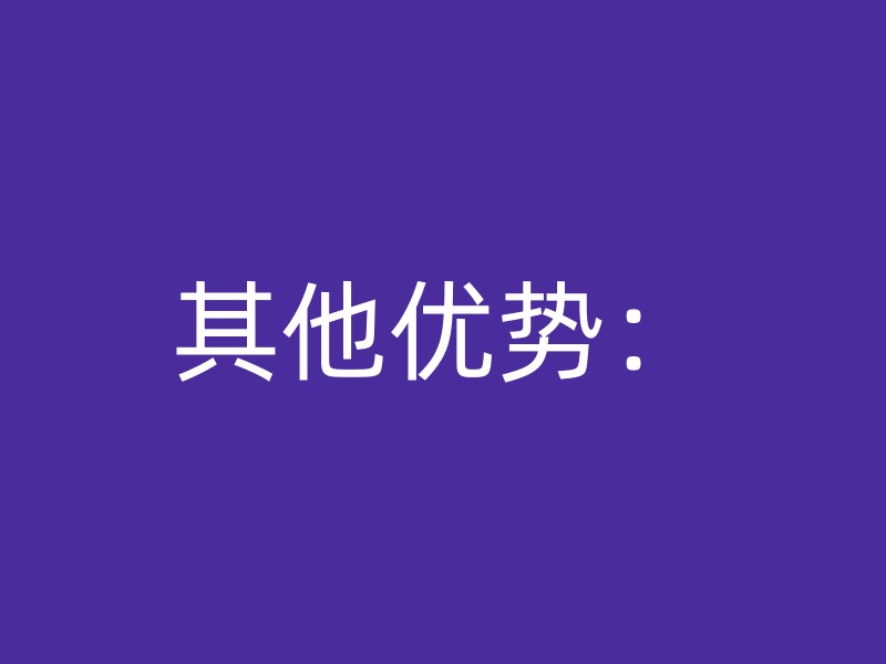 其他优势：