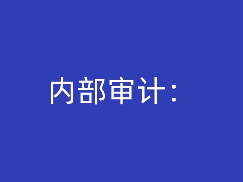 内部审计：