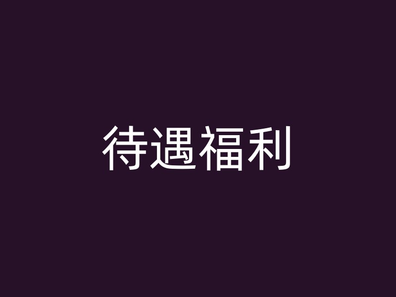 待遇福利