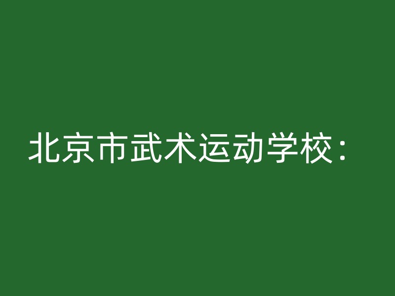 北京市武术运动学校：