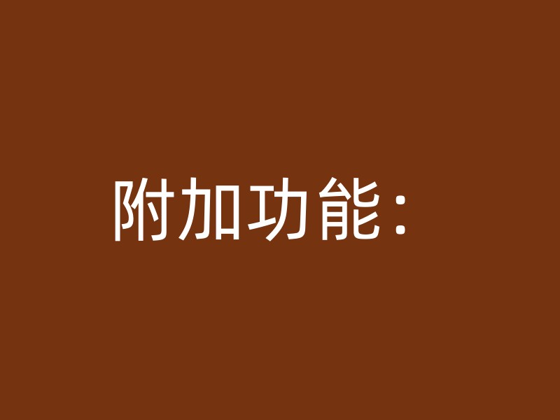 附加功能：