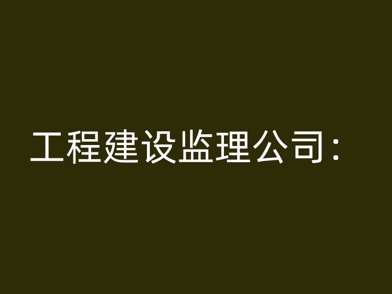 工程建设监理公司：