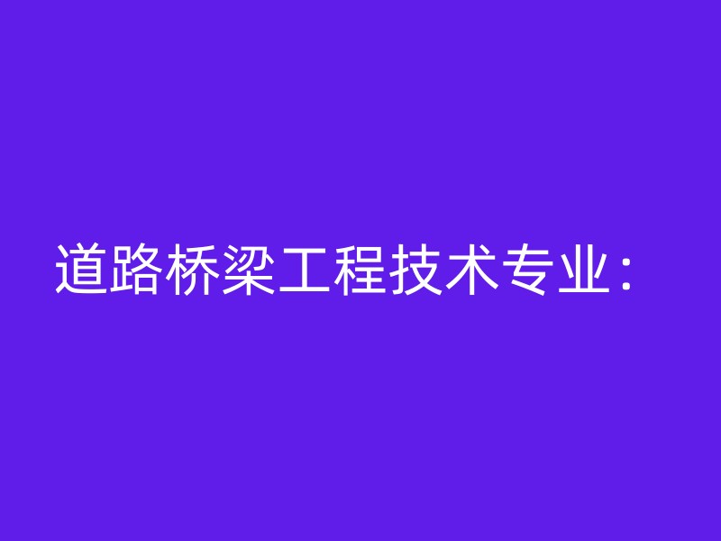 道路桥梁工程技术专业：