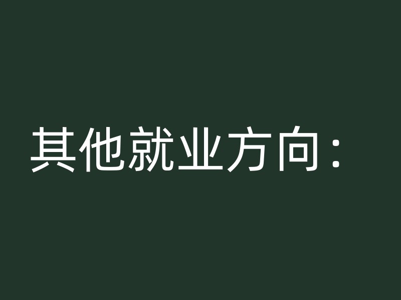 其他就业方向：