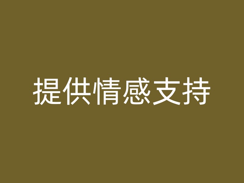 提供情感支持