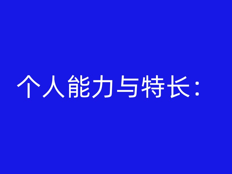 个人能力与特长：