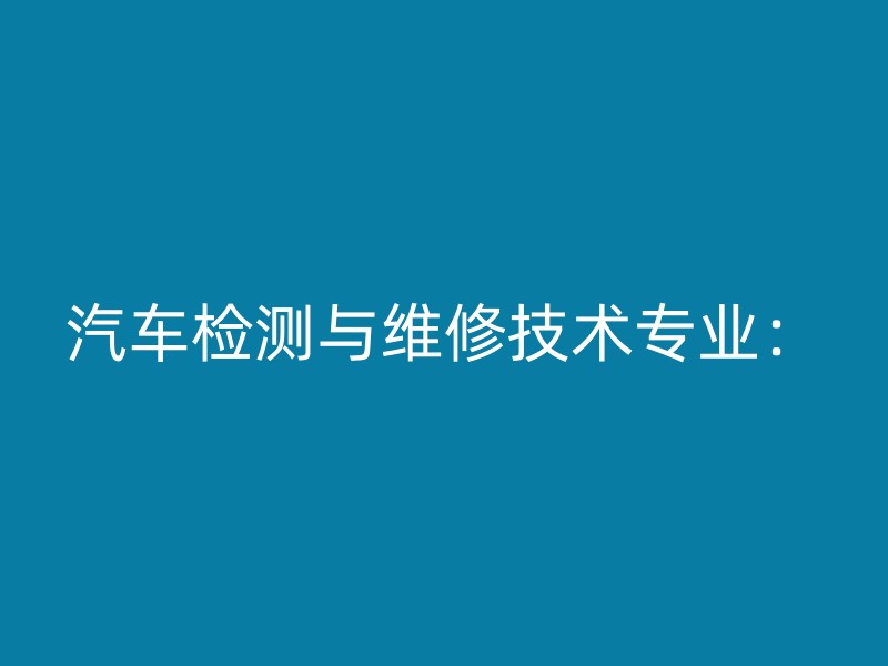 汽车检测与维修技术专业：