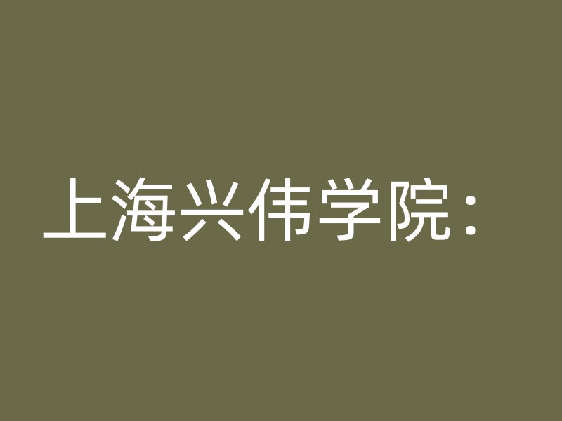 上海兴伟学院：