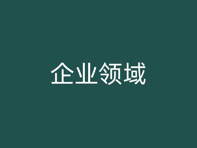 企业领域