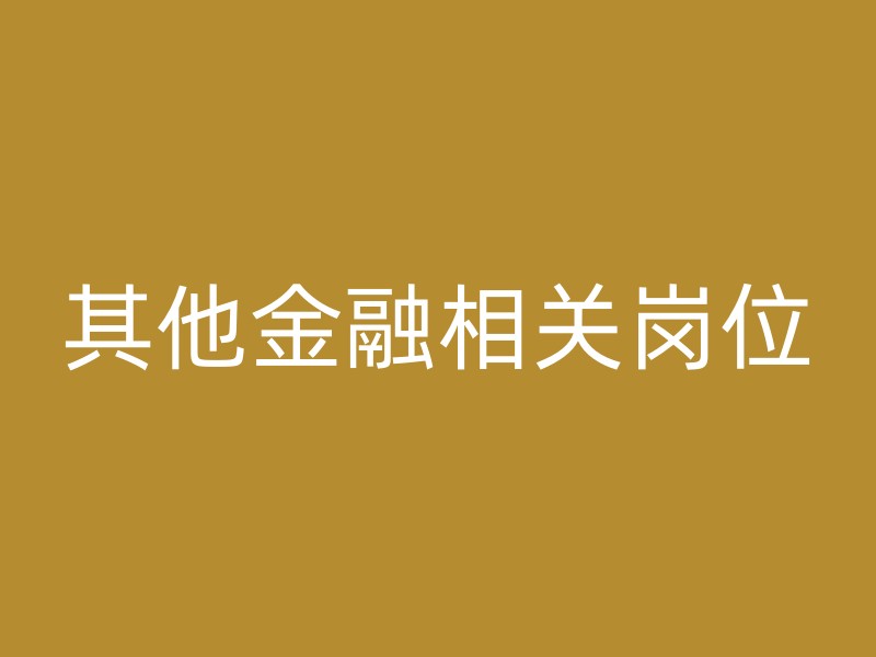 其他金融相关岗位