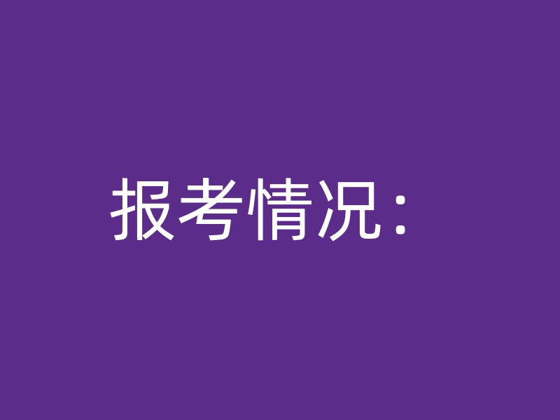 报考情况：