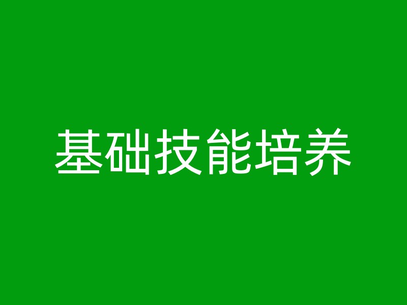 基础技能培养